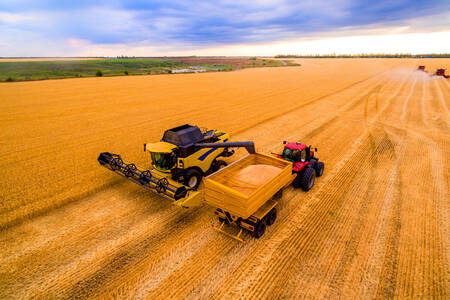 Combine harvester and tractor on the field