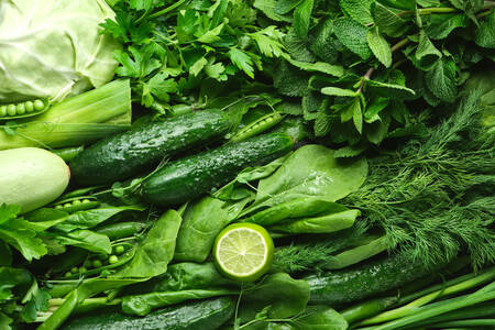 Verduras e vegetais verdes