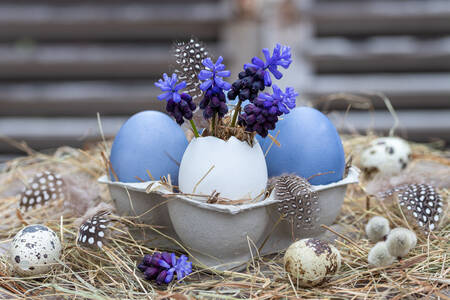 Mavi yumurta ve sümbül