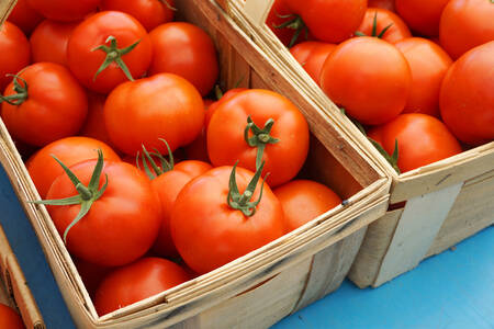 Čerstvé paradajky v košíku