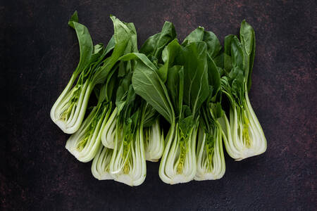 Koyu bir arka planda bok choy