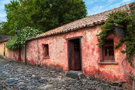 Old buildings in Colonia del Sacramento