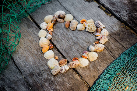 Cœur fait de coquillages sur une planche en bois