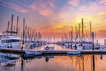Yachts at the San Diego Marina
