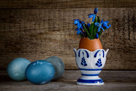 Snowdrops in eggshells