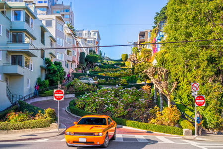 San Francisco'daki Lombard Caddesi