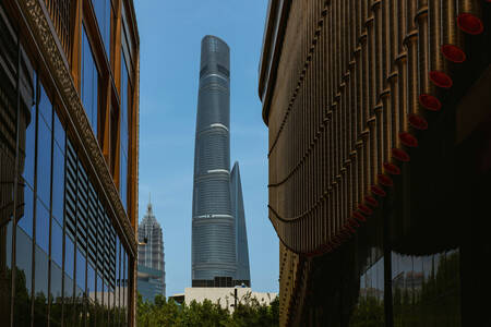 Shanghai tower view