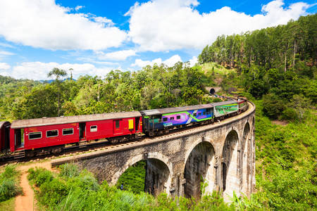 Train sur le pont de Demodara