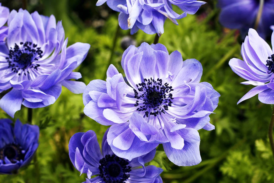 Magic Radio live 105.4 MHz FM, London, United Kingdom Online Radio Box