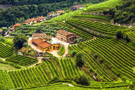 Vinárstvo a vinohrady vo Valpolicella