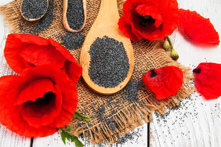Poppy flowers and seeds