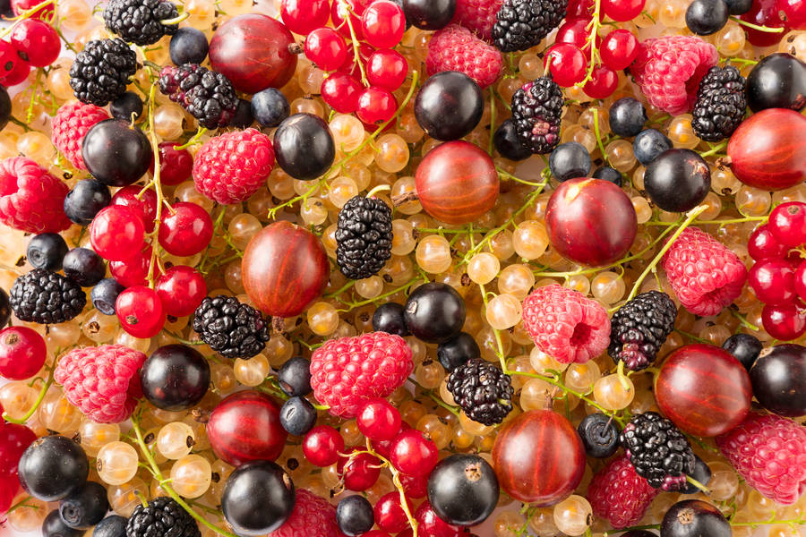 Playlist Antena 1 lista de musicas tocadas Online Radio Box