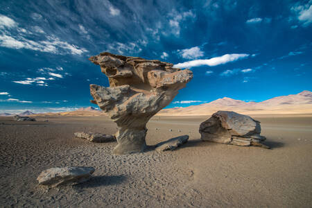 Stenen in de woestijn