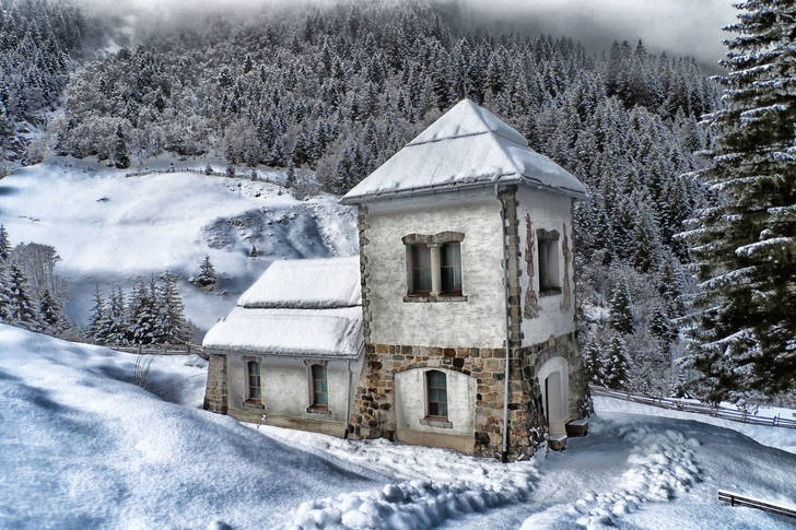House in the winter forest