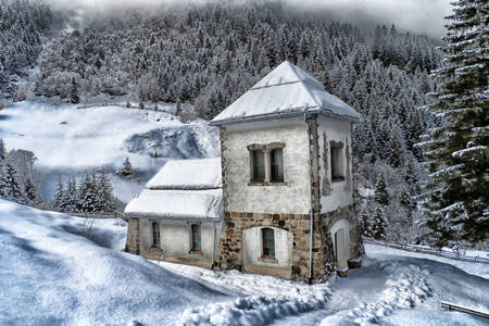 Ház a téli erdőben