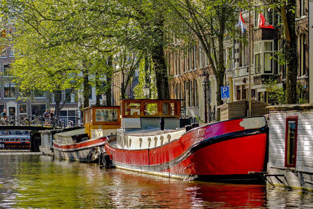 Houseboats w Amsterdamie