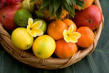Basket with tropical fruits