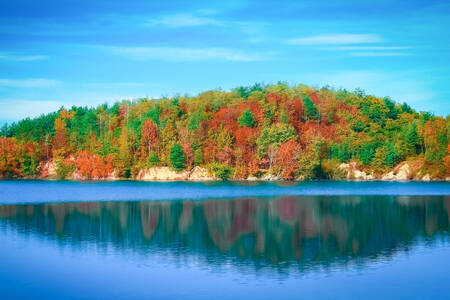 Lago com fundo de floresta