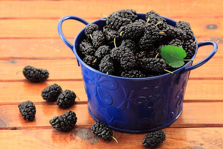 Mulberries