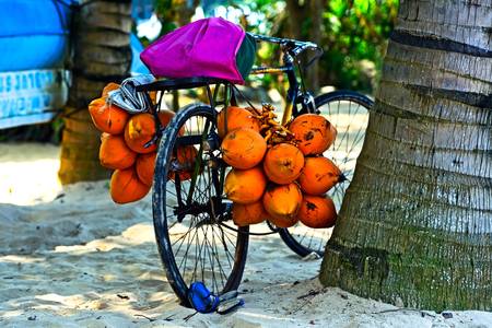 Frutas tropicales en bicicleta