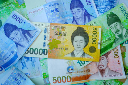 Won Korea Selatan adalah mata uang Korea Selatan