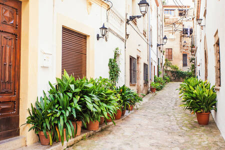 Ulica v Tossa de Mar