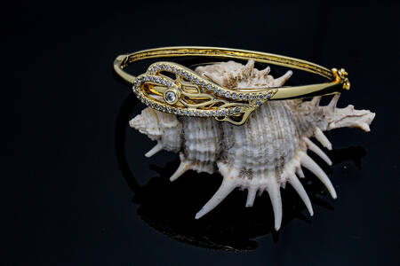Gold bracelet on a shell
