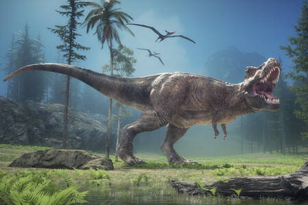 Kuhaava tyrannosaurus rex