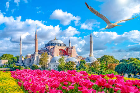 Hagia Sophia à Istanbul