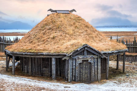 Традиционный дом викингов