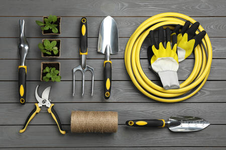 Vrtni alati i biljke