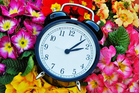 Clock on flowers