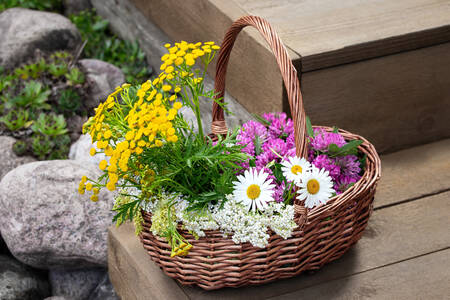 Geneeskrachtige bloemen in een mand