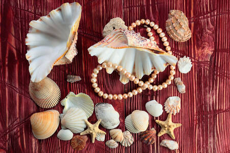 Shells on a wooden background