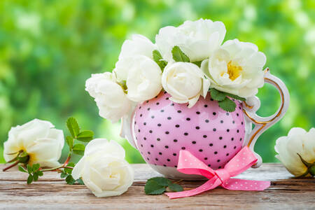 Roses blanches de jardin