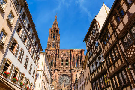 Pemandangan Katedral Strasbourg