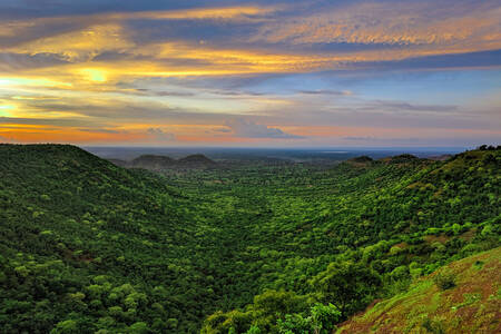 Lake Manyara nasjonalpark