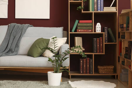 Biblioteca domestica con scaffali per libri