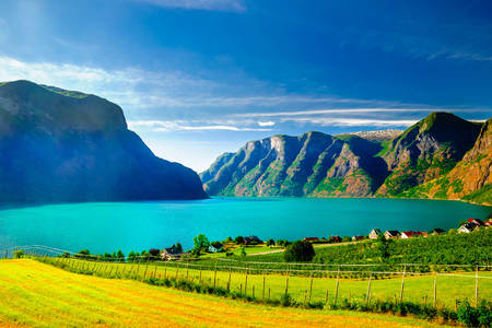 Aurlandsfjord utsikt
