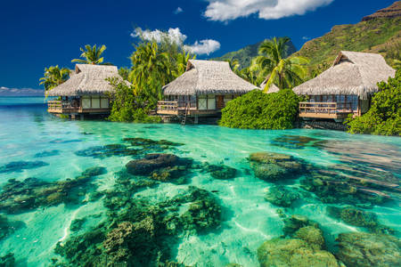 Bungalow Tahitilla