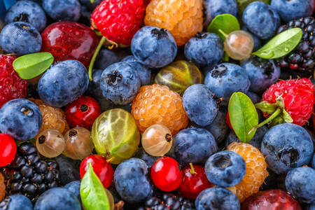 Fructe asortate